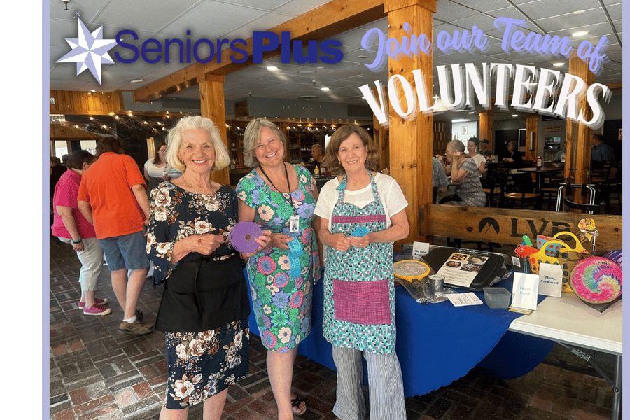 Business and Organization Group Volunteering with SeniorsPlus